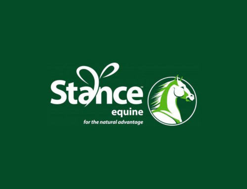 Sponsor Stance Equine