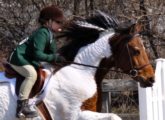 Horseback riding at Raven Hill Farms