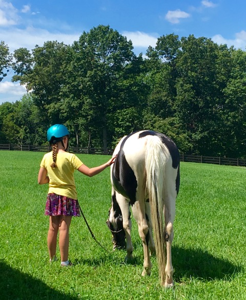 Raven Hill Farms horseback riding lessons